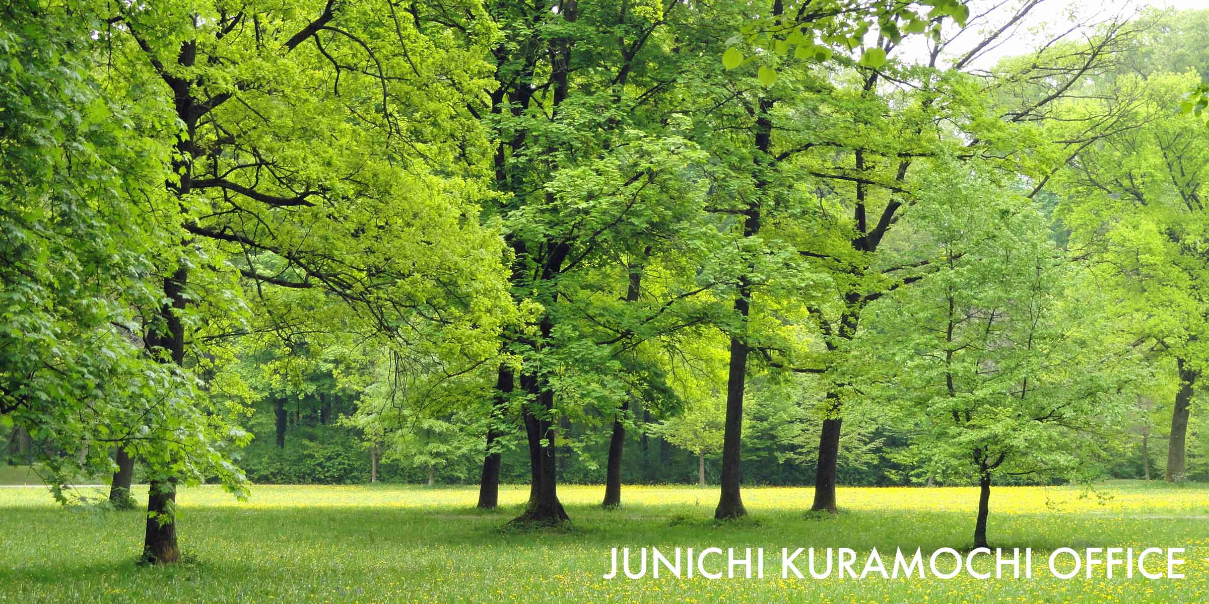 JUNICHI KURAMOCHI OFFICE